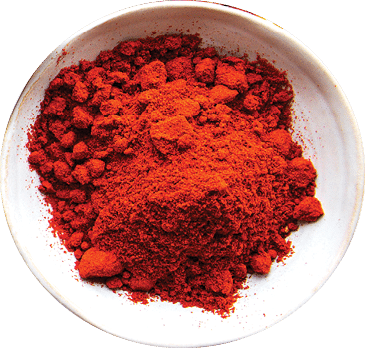 Various spices in a bowls  on white  background  Top view copy space 