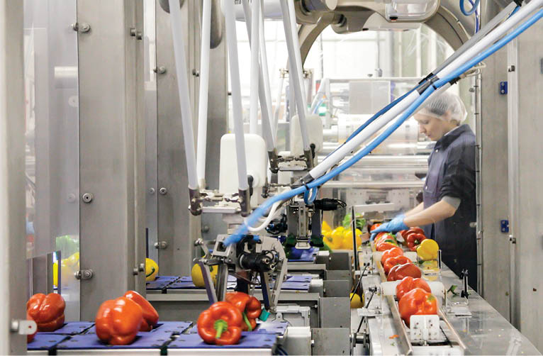   Combilo, a leading fruit and vegetables wholesaler in the Netherlands, recently installed a new robot assisted packaging line that increased productivity by 30%  The new packaging line, built by systems integrator EasyPack Technologies, includes parallel robots and a vision system from Omron  