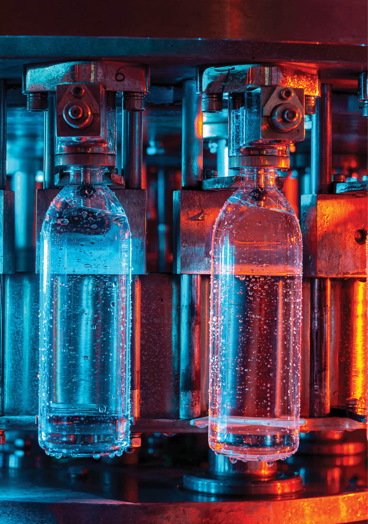 Water bottling line for processing and bottling pure spring water