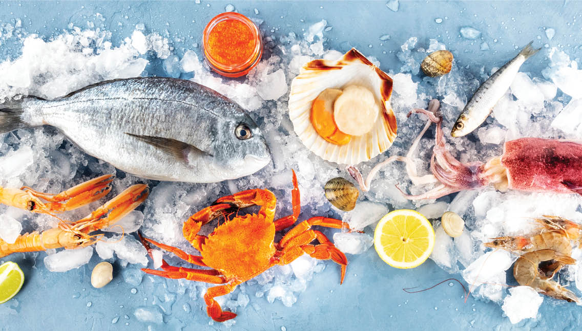 Fish and seafood overhead panoramic shot. Sea bream, scallop, crab, squid, clams and prawns