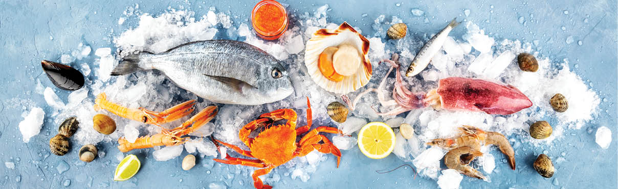 Fish and seafood overhead panoramic shot. Sea bream, scallop, crab, squid, clams and prawns