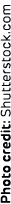 Photo credit: Shutterstock.com
