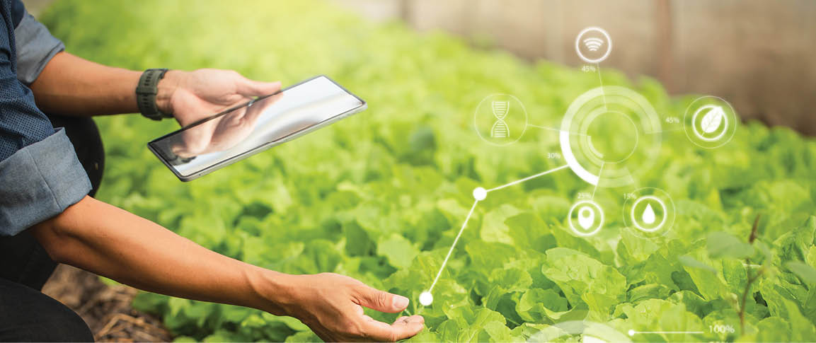 Farmer Plantation checking quality by tablet agriculture modern technology Concept. Smart farming, using modern technologies in agriculture. Man agronomist farmer with digital tablet computer.