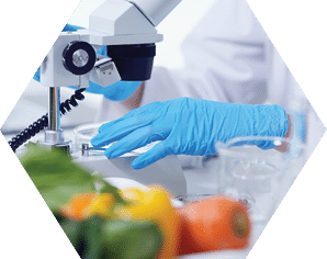 Biotechnology concept. Food tech. Nutritional science.