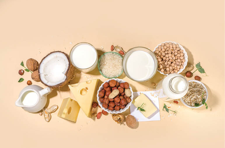Vegan non-dairy products. Plant-based alternative dairy products €“ milk, cream, butter, yogurt, cheese, with ingredients - chickpeas, oatmeal, rice, coconut, nuts