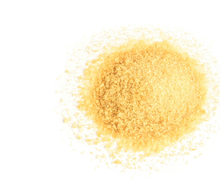 Gelatin isolated on white background