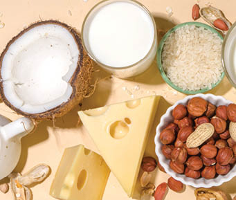 Vegan non-dairy products. Plant-based alternative dairy products €“ milk, cream, butter, yogurt, cheese, with ingredients - chickpeas, oatmeal, rice, coconut, nuts