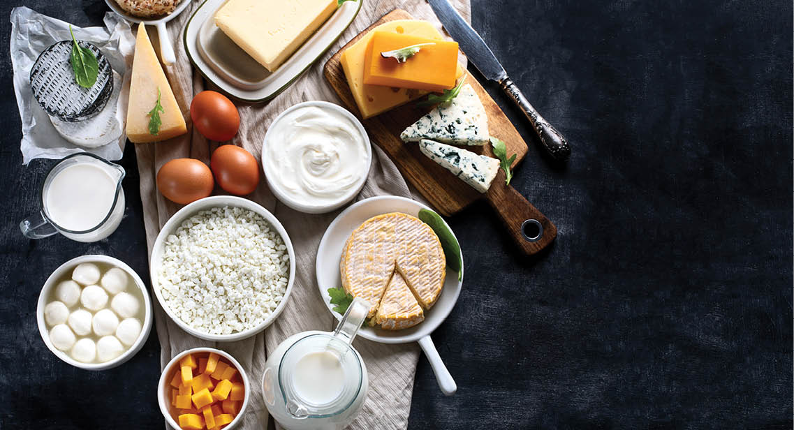 Dairy products. Milk, cheese, sour cream, cottage, yogurt and butter on dark background. Flat lay with copy space