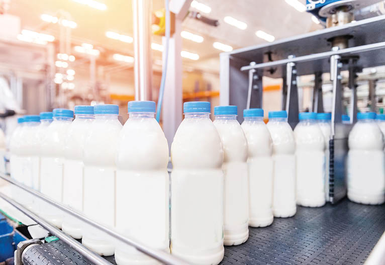 Bottling milk production line factory, industry equipment dairy plant.