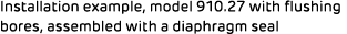 Installation example, model 910.27 with flushing bores, assembled with a diaphragm seal