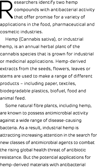 Researchers identify two hemp compounds with antibacterial activity that offer promise for a variety of applications ...