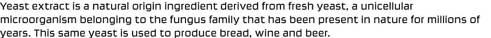 Yeast extract is a natural origin ingredient derived from fresh yeast, a unicellular microorganism belonging to the f...