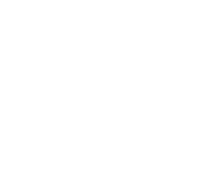 • Provides authentic chicken notes to a chicken chips seasoning • Provides strong beef notes, in a spicy beef bouillo...