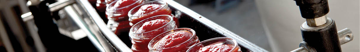industrial production of tomatoes and tomato paste