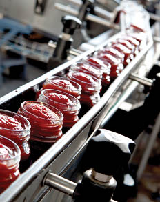 industrial production of tomatoes and tomato paste