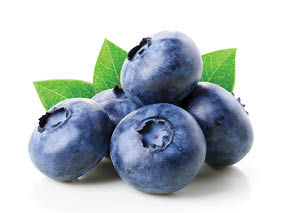 Blueberries with leaves isolated on white