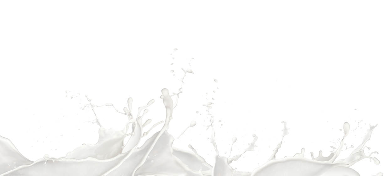 Wavy Milk splashes, isolated on white background