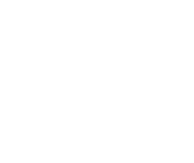 GNT can help you find the perfect solution for your project. We provide full support throughout the entire product de...