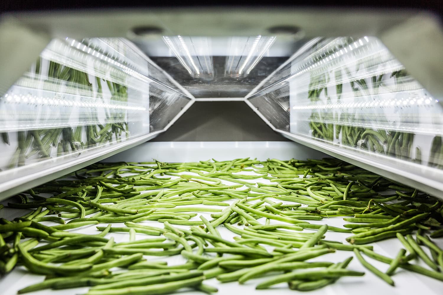 TOMRA guides vegetable processors through the challenges of COVID-19