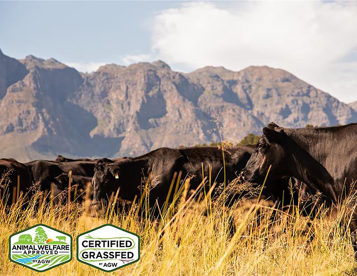 Boschendal is first Cape Winelands farm to receive animal welfare certification