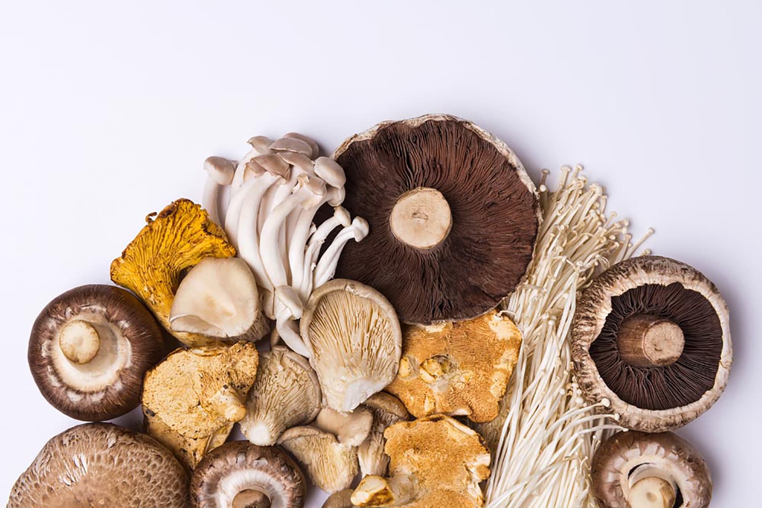 How to harness umami and kokumi for a memorable savoury taste experience