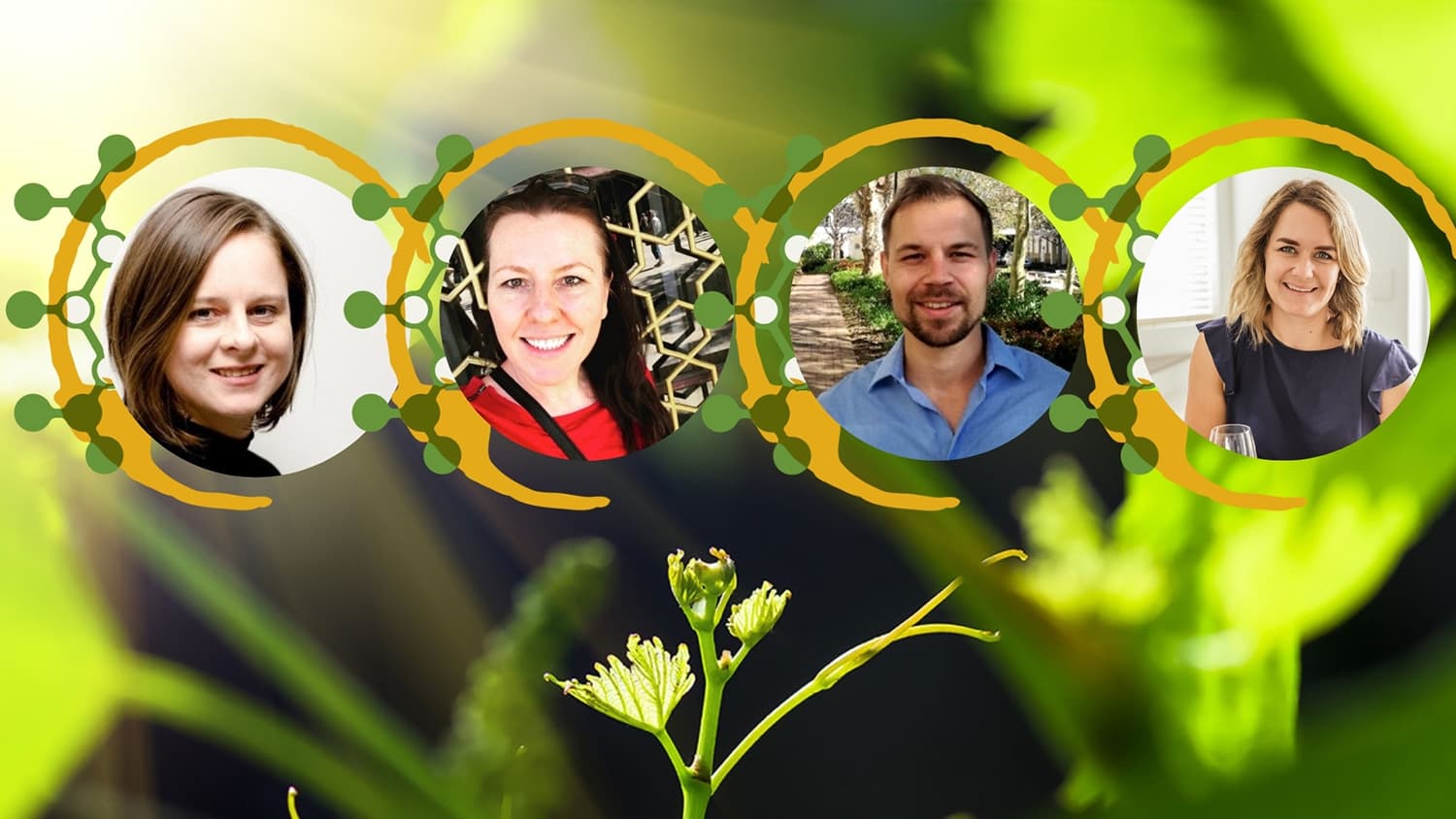 Broaden your wine knowledge with free technical vlogs