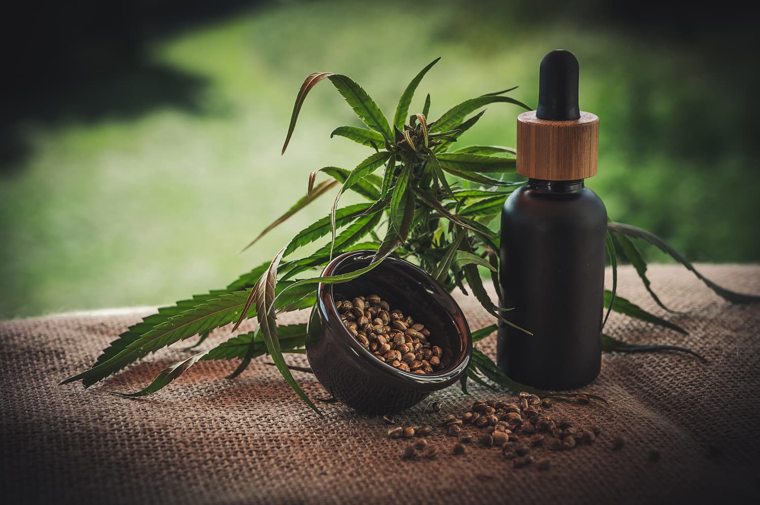 Clearing the haze: Getting to grips with legislation around cannabis, CBD and hemp in SA