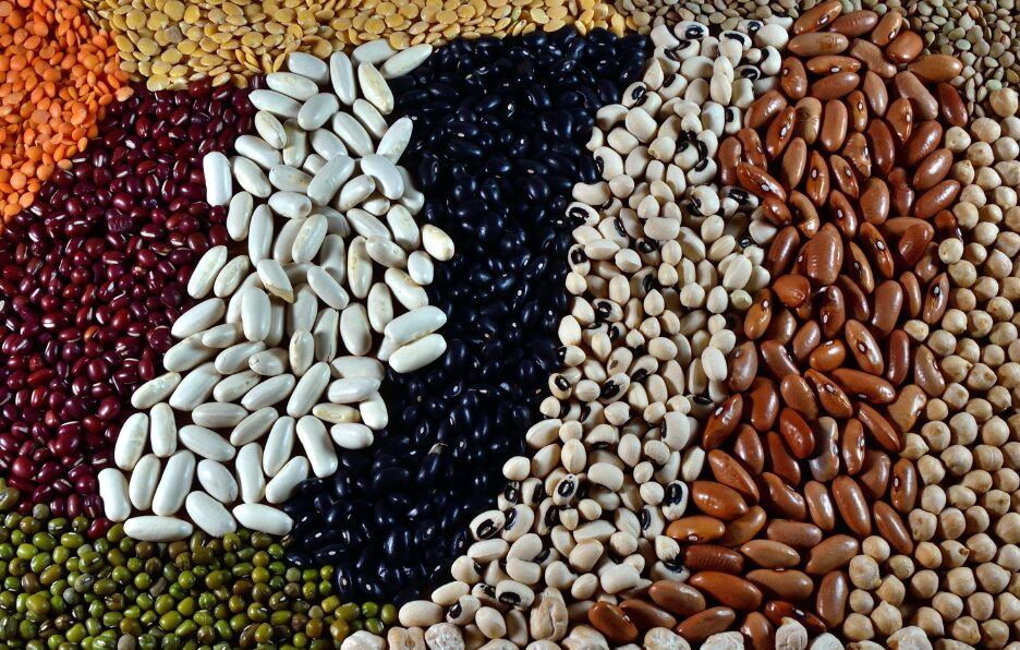 Pulses can feed the world (they mostly already do)
