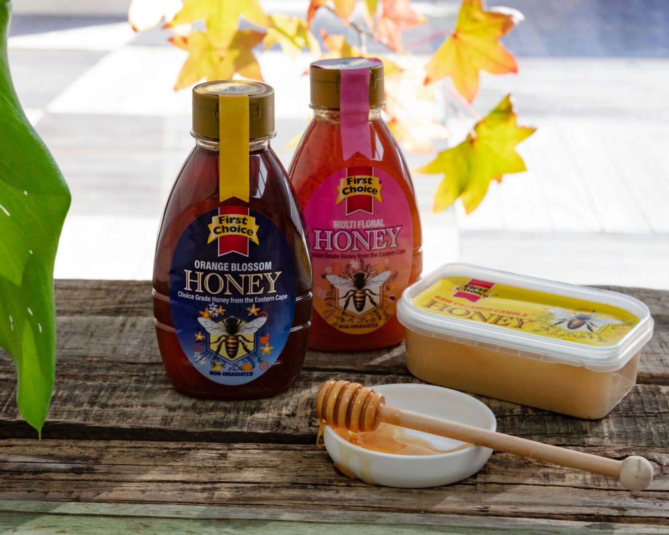 Bee the Change: Save SA’s Bee Population and Local Businesses