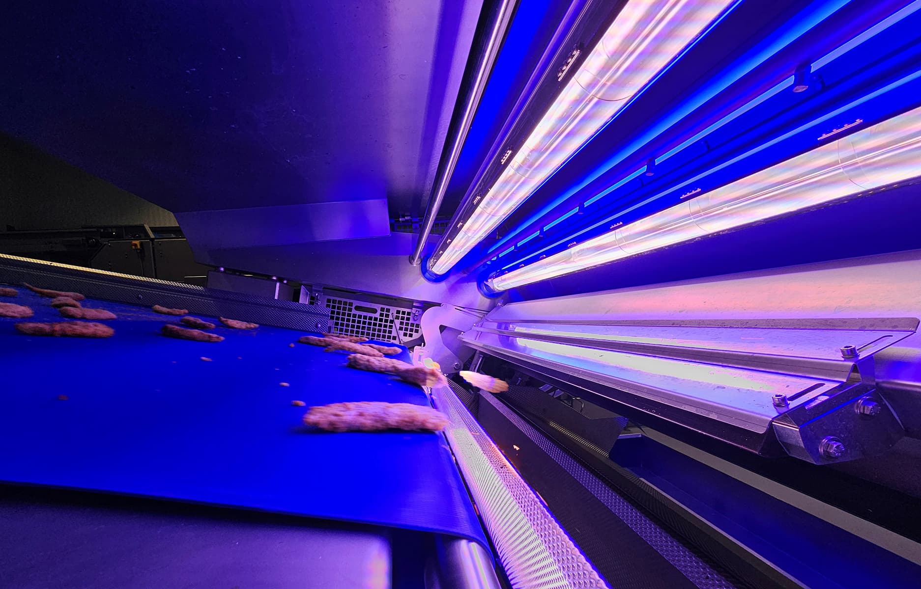 Advanced Optical Sorters for Processed Protein Products