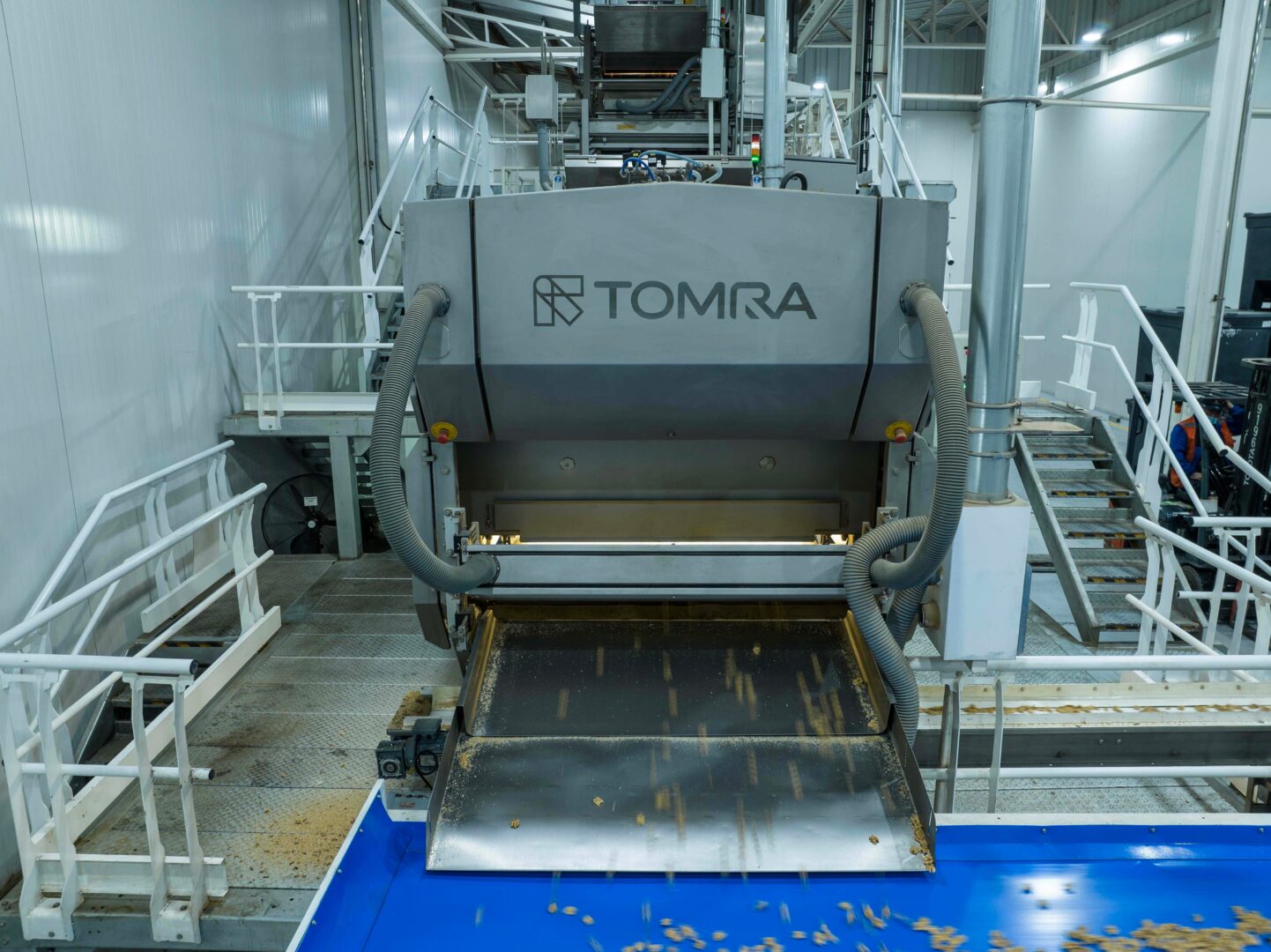 TOMRA Food sorts success for Chilean walnut processor
