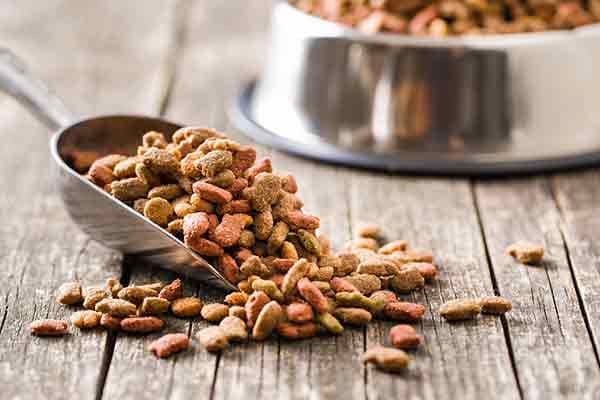 South Africa serves global pet food congress