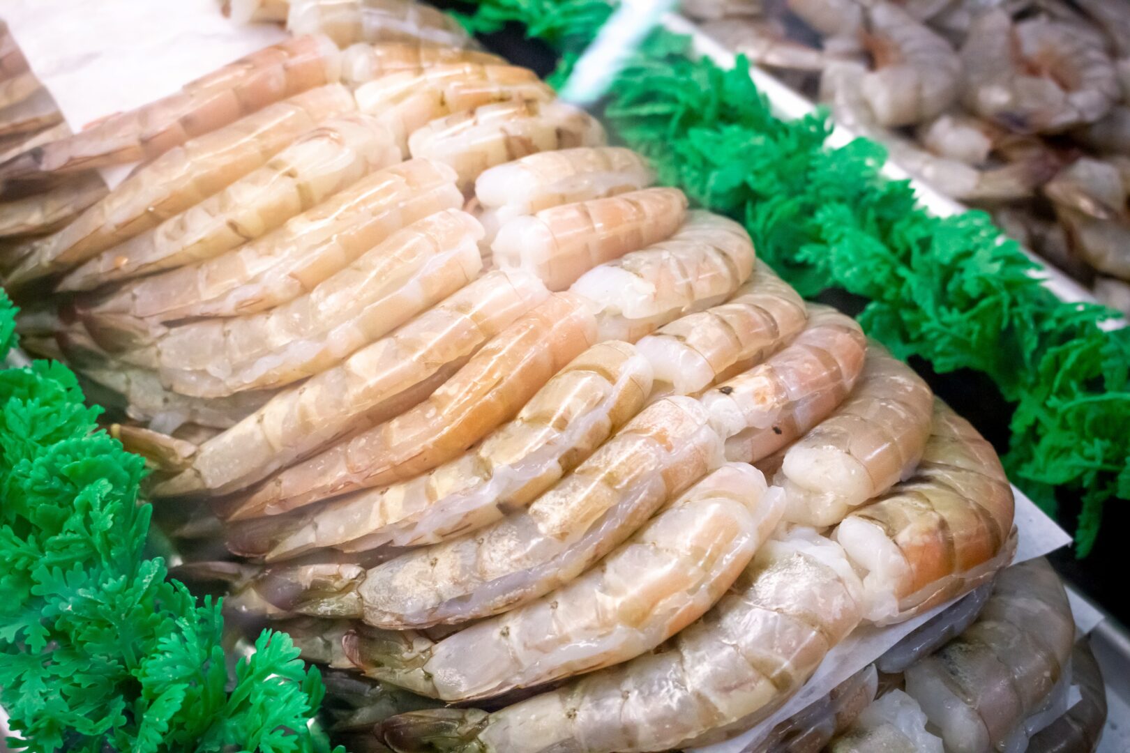 Corbion joins sustainable shrimp partnership