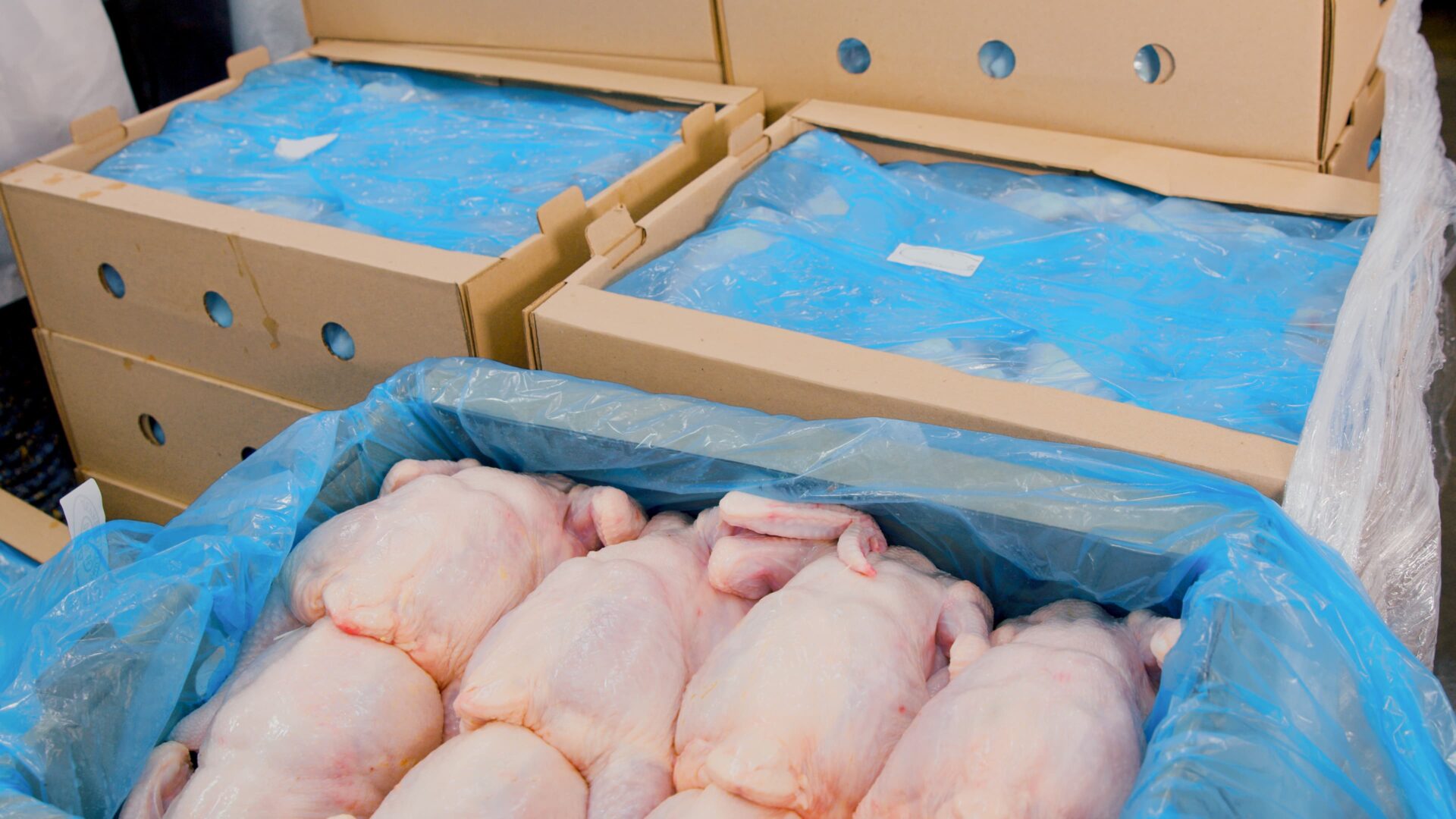 South Africa eases poultry import ban from Brazil