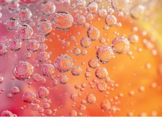 The rise of prebiotic sodas: revolutionising gut health