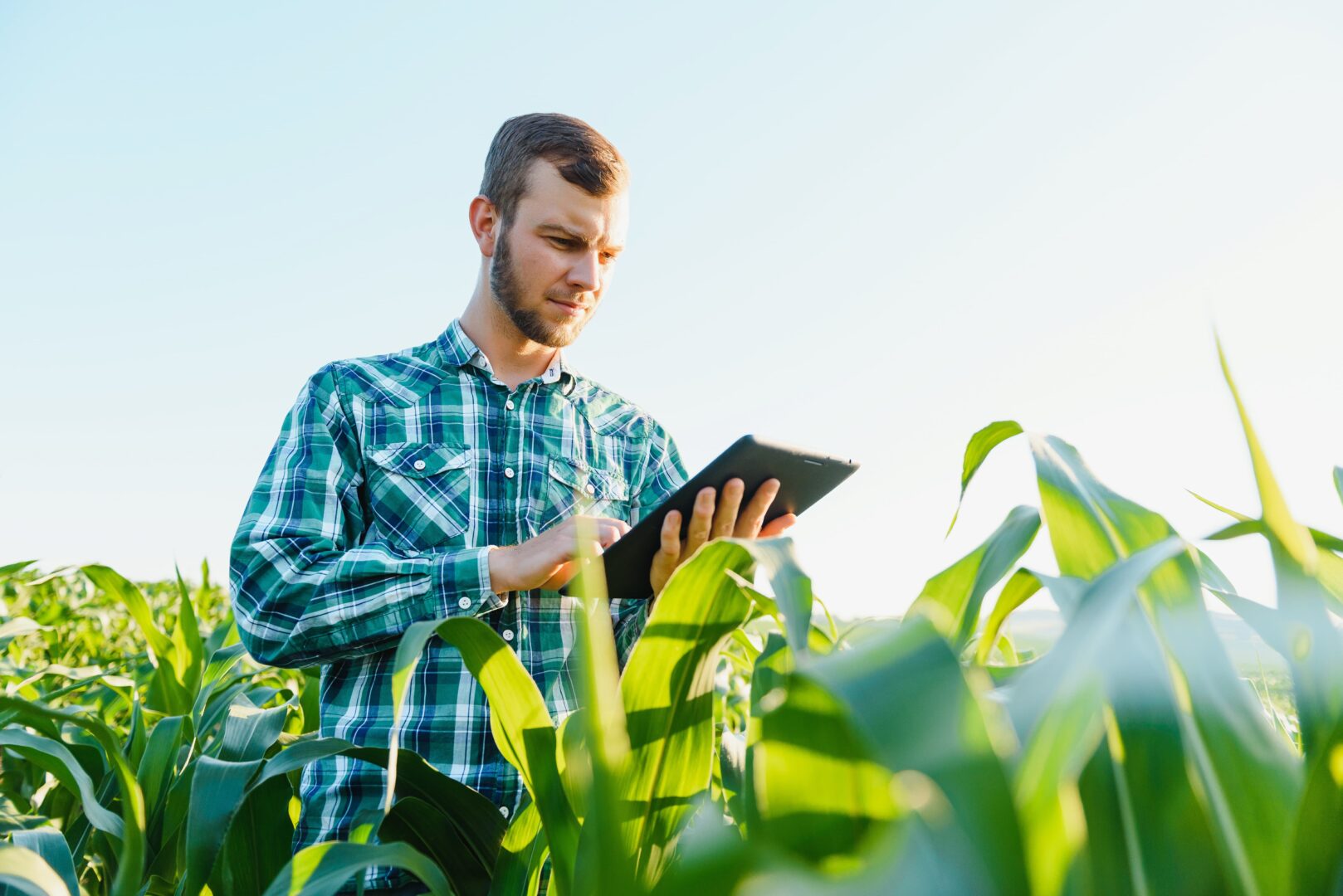 Tetra Pak environmental leadership recognised by CDP