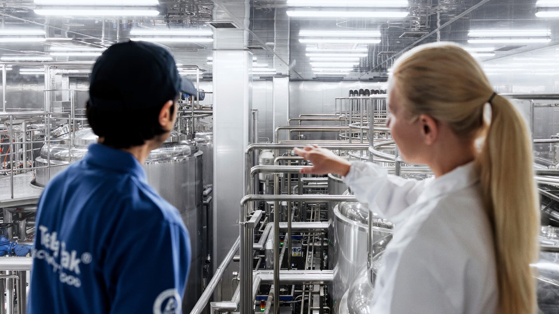 Dairy processing modernisation