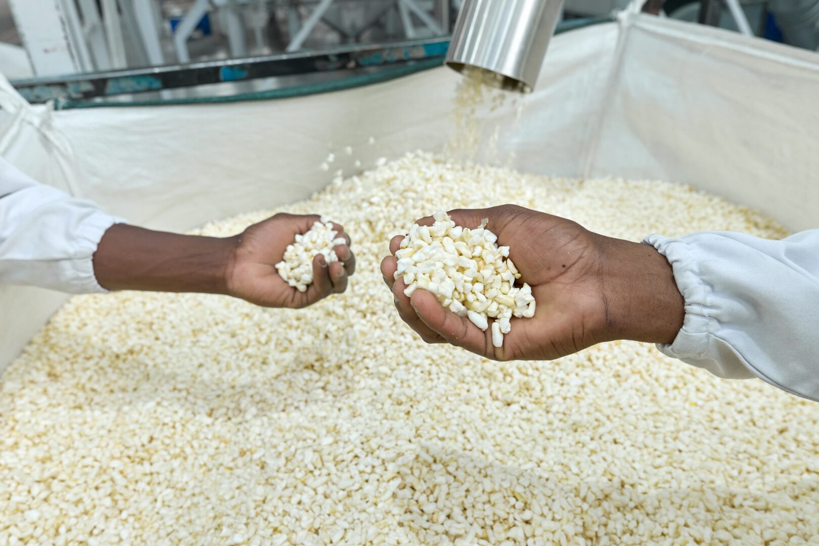 Synercore 10-year anniversary: A decade of food innovation in Africa