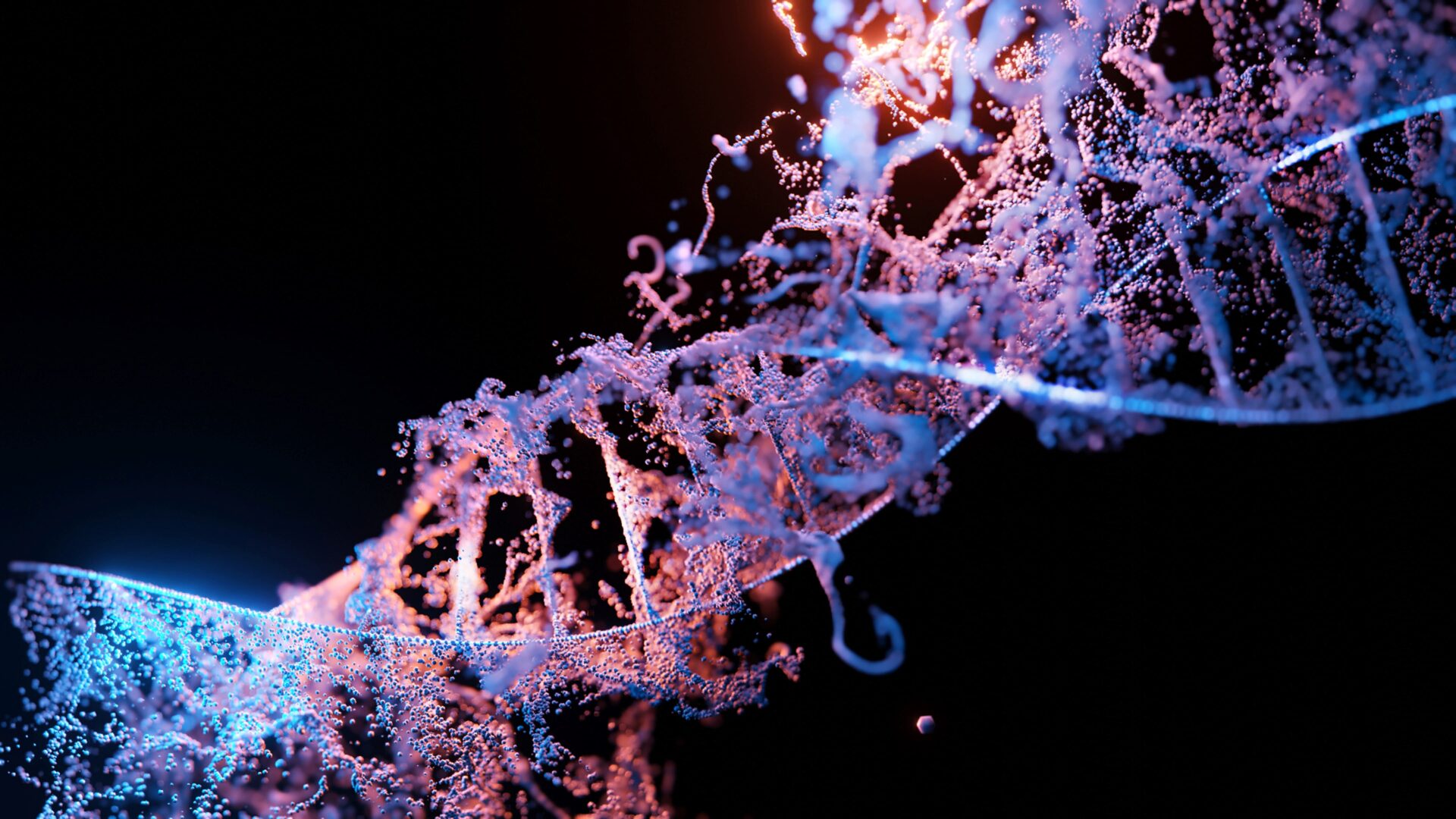 How GMO testing works: A guide for South African food and feed businesses