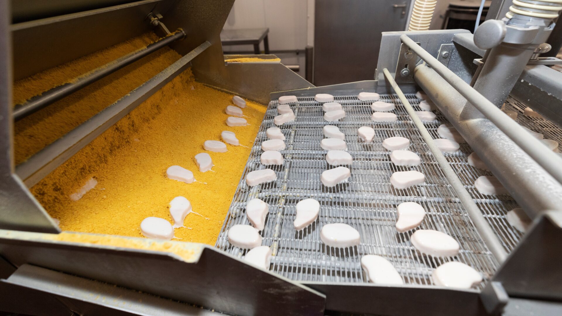 End-to-end engineering for SA’s protein industry